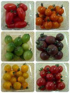 ６種のトマト