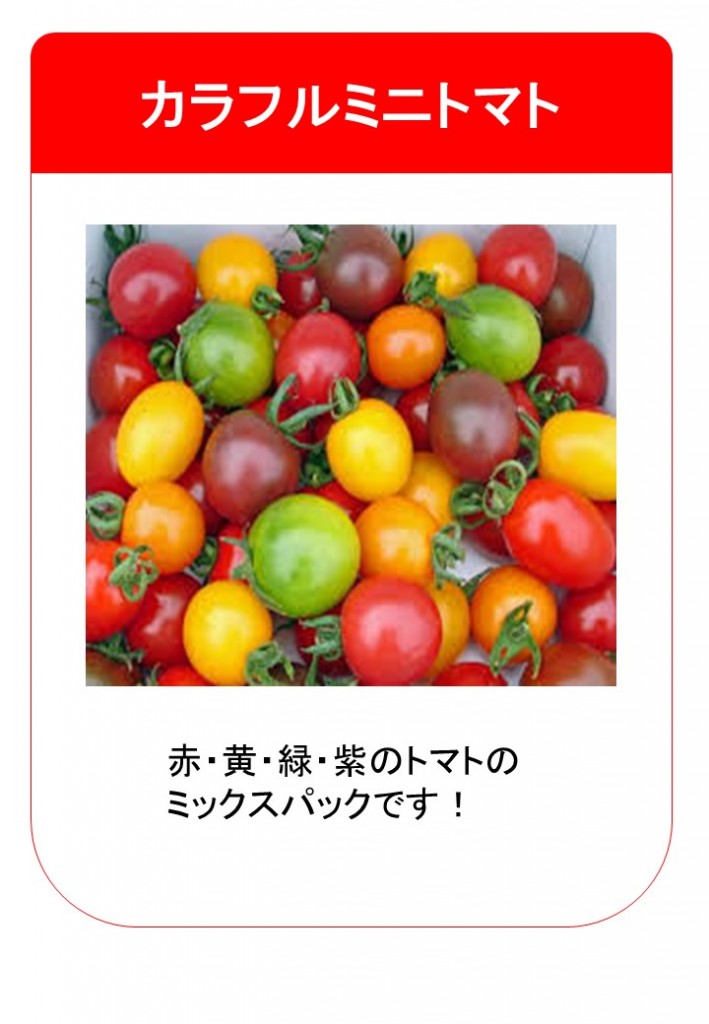 201512カラフルミニトマト