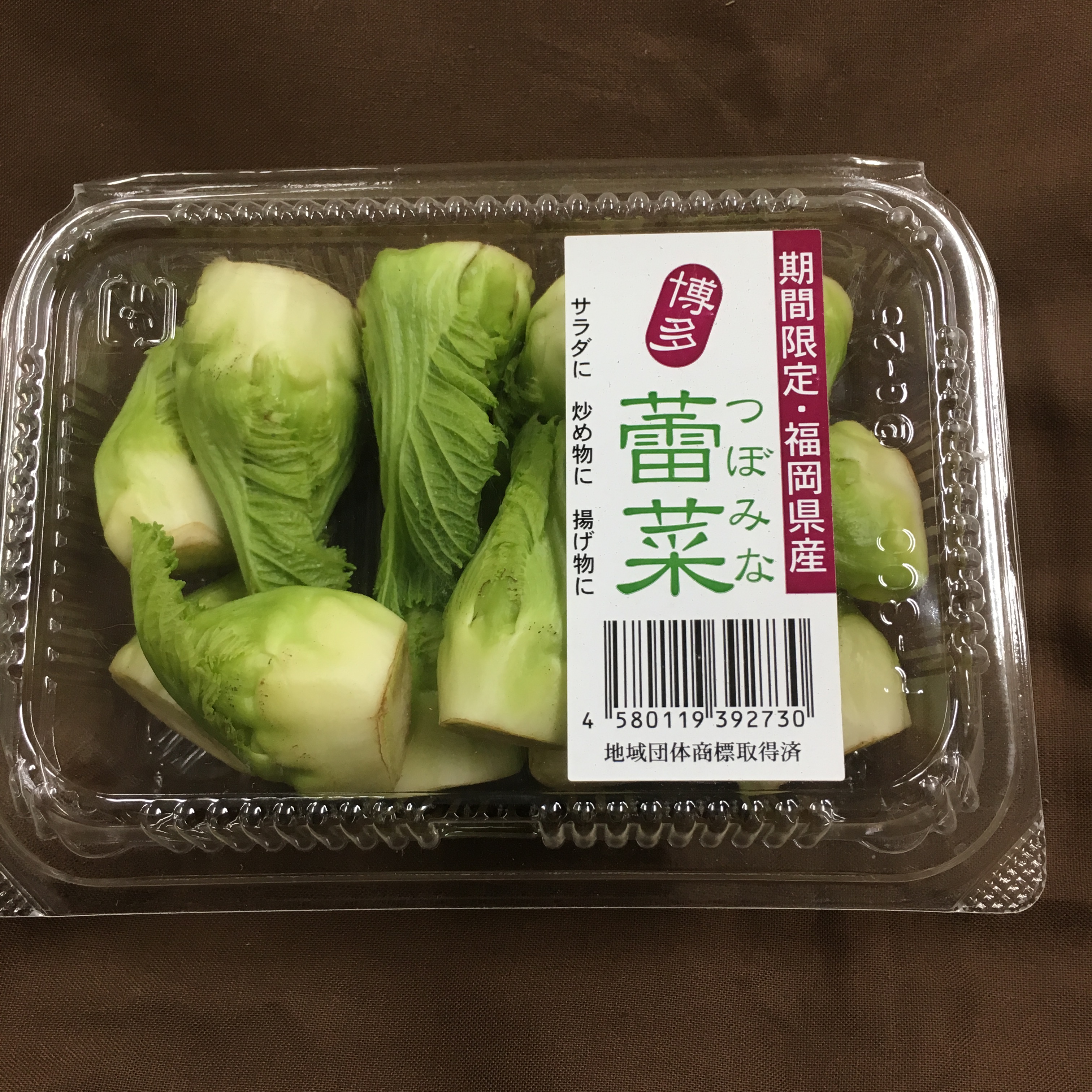 山菜 東京 埼玉の業務用野菜のベジタブルガーデン 飲食店から病院 学校 福祉施設まで 食材の仕入れはおまかせください