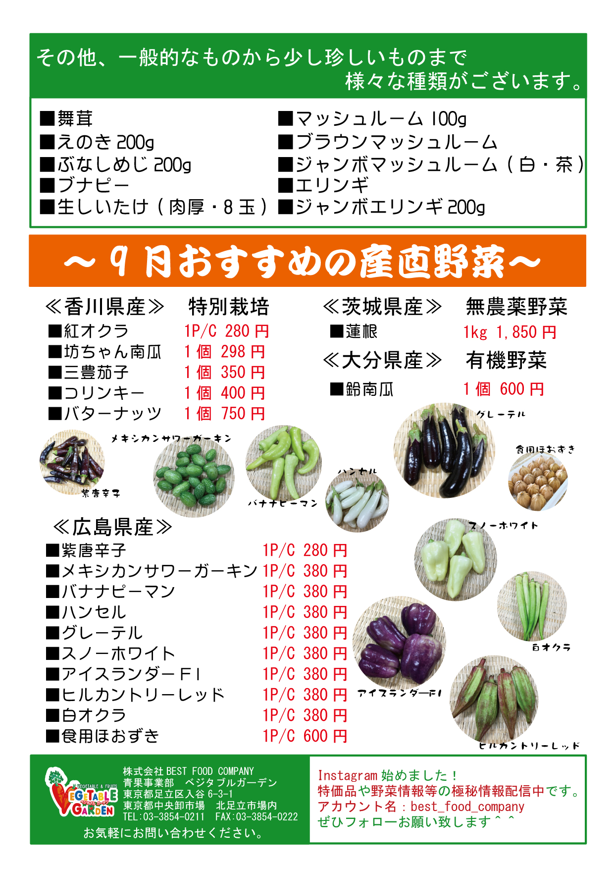 菌茸類 東京・埼玉の業務用野菜のベジタブルガーデン 飲食店から