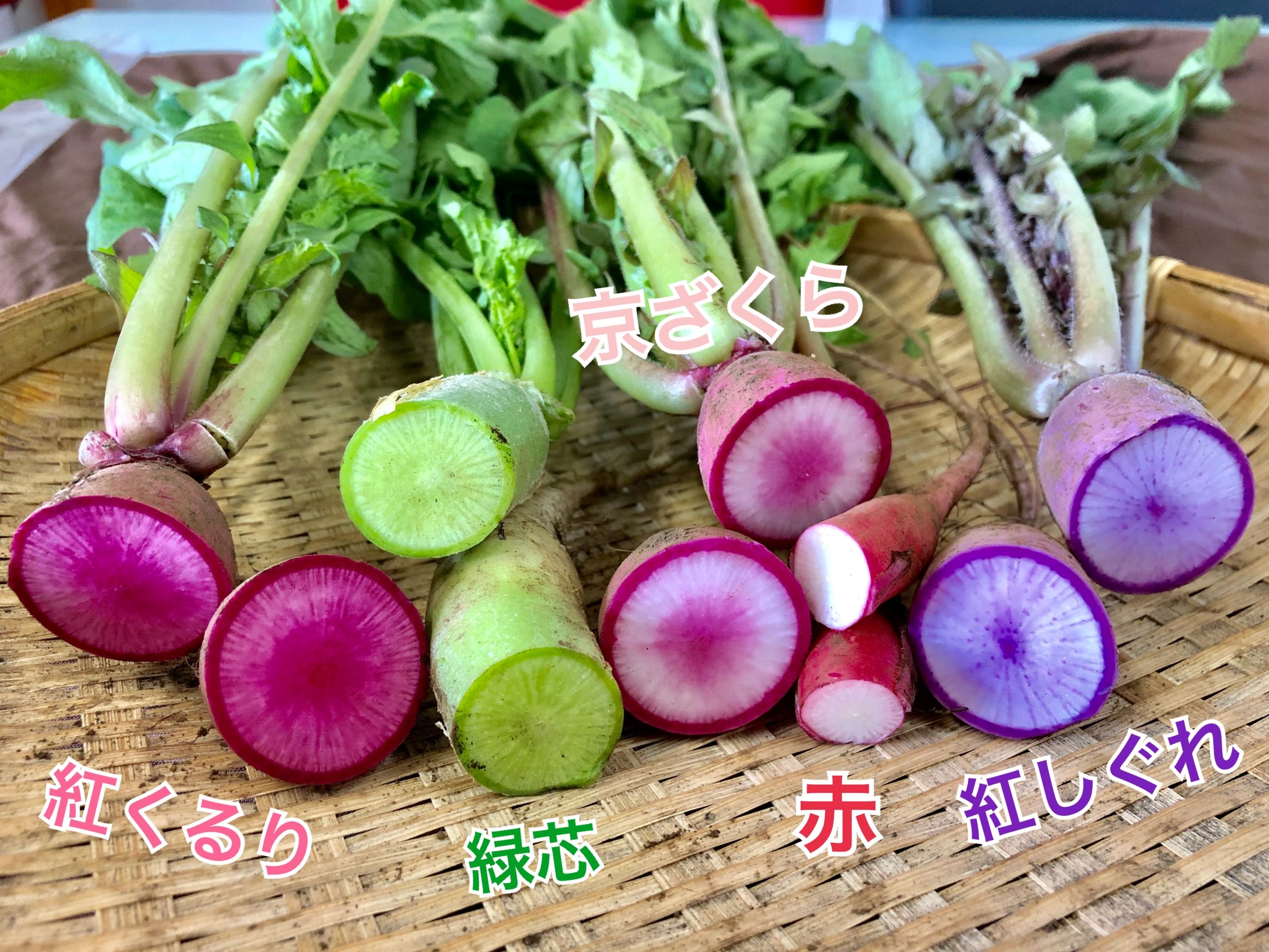 無農薬野菜 | 東京・埼玉の業務用野菜のベジタブルガーデン | 飲食店 